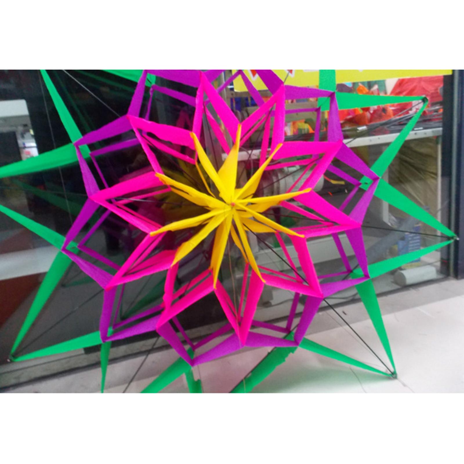 Outdoor Camping Games For Kids - Großer 3D-Pflaumen-Lenkdrachen mit langer Lebensdauer, Windbeständig,